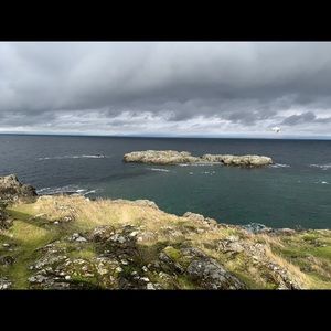 Meet your Posher, Tisha